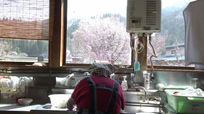調理場から望む桜