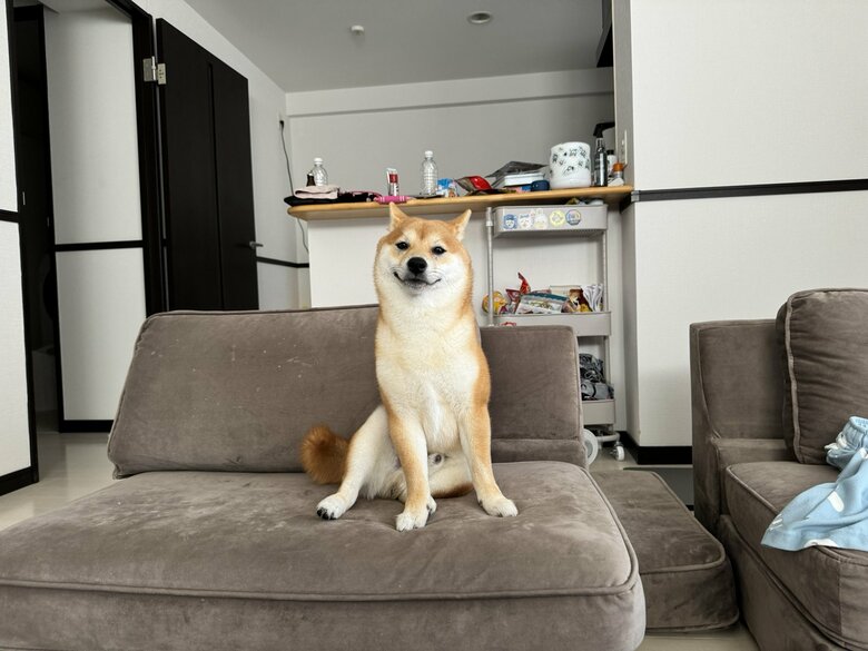 提供：わさび一族さん