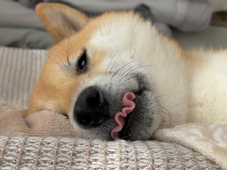 舌が波打っている