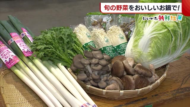 〈にいがた新鮮組〉値段落ち着いた“旬の野菜”でおいしいお鍋! オススメの食べ方は?