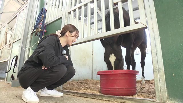 お世話体験（毎週日曜日　午前6時半～10時・無料）