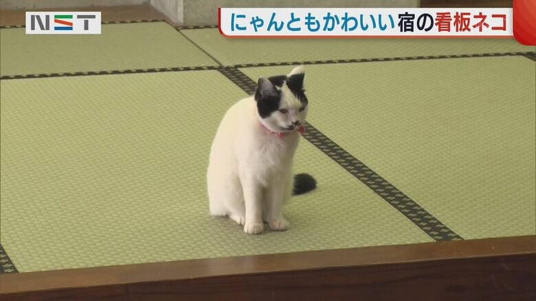 碧水荘で出迎えてくれるのは…