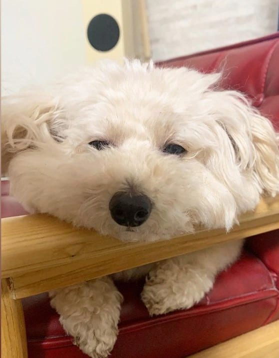 提供：＠tsuru_323さん