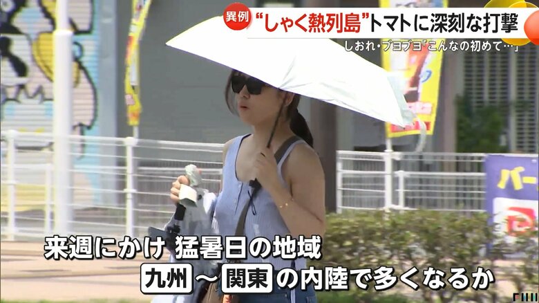 平年よりかなり早い7月上旬に梅雨明けが予想される関東