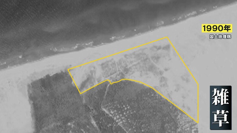 1990年撮影　砂丘に雑草が生えてきている