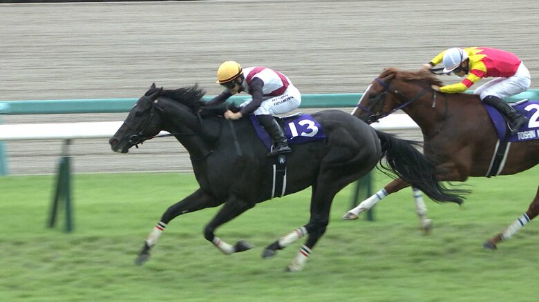 2024年のスプリンターズS・GⅠを制したルガル