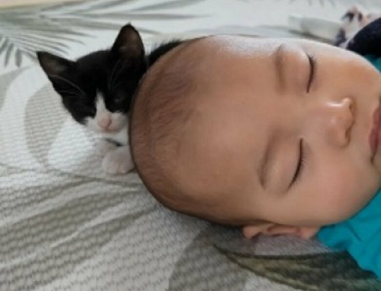 眠る蓮慈くんの後ろからひょっこりリヴァイくん