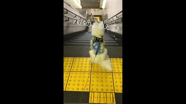 お父さんの帰りを待ついちごくん