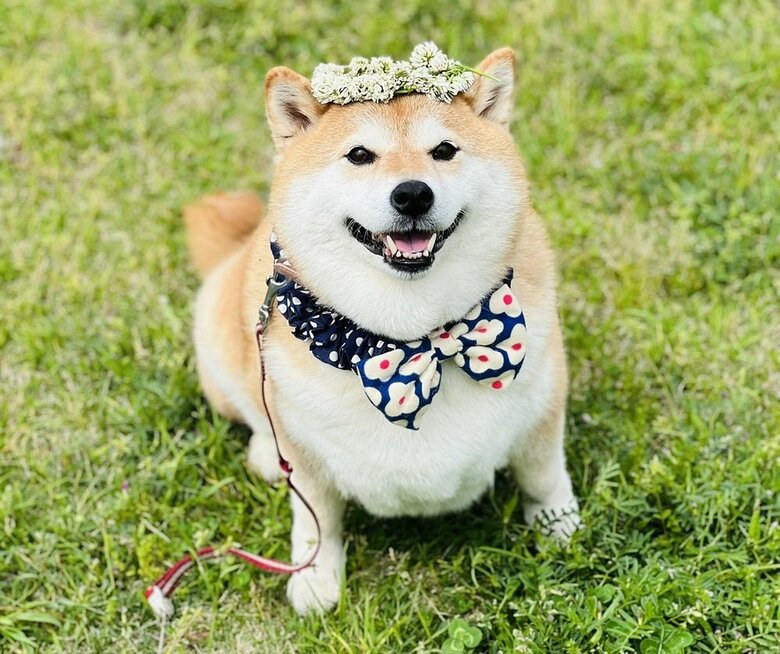 花冠がお似合い