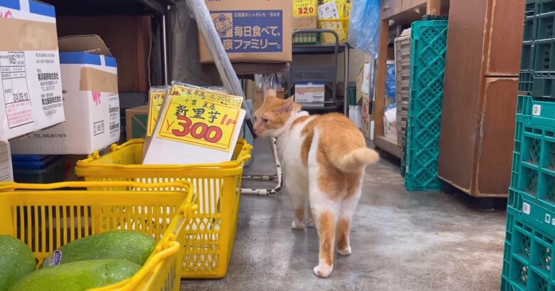 店内パトロールも欠かさない