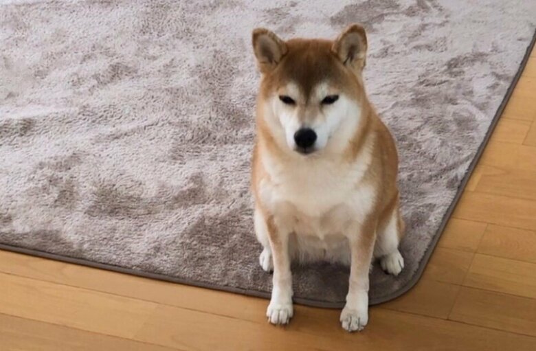 予定よりも帰りが遅くなると、不満気な表情を見せることも