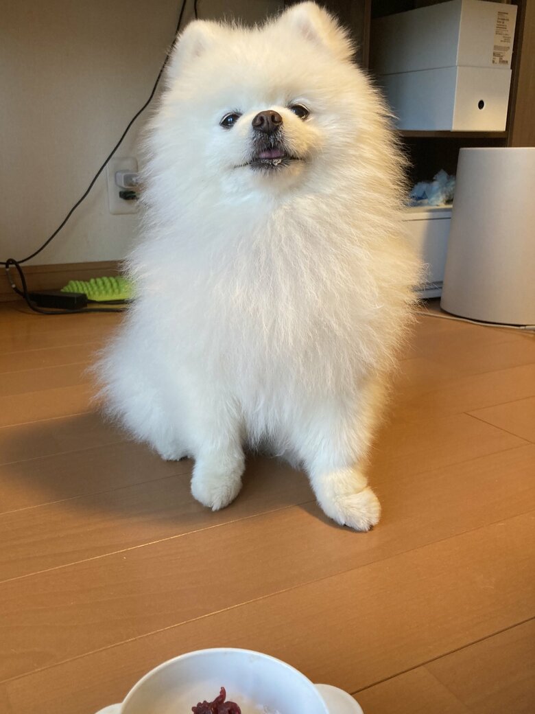 ご飯を前に
