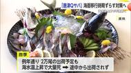 「唐津Qサバ」海水温上昇の不漁対策で 稚魚移送時期変更へ【佐賀県】