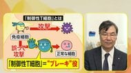 研究は「楽天的であること重要」免疫暴走に“ブレーキ”がん治療の道筋…ノーベル医学・生理学賞受賞決定の大阪大学・坂口志文特任教授