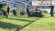 Jリーグクラブ初「発電しながら農業」ガイナーレ鳥取のソーラーシェアリング　全国のクラブに拡大期待
