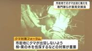 神戸の市街地にクマが現れたらどうする？　ことし6月に市内で初確認　山林にはカメラ200台を増設　専門家らが意見交換　神戸市