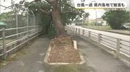 ハウス吹き飛ばされる　台風13号による被害の爪痕
