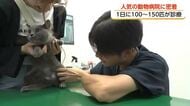「一匹でも多くの動物の命を救いたい」高岡市で人気の動物病院 専門医と最先端医療機器を備え診療