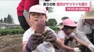 子供たちが実りの秋を体験　苗から育てたサツマイモを収穫　給食やおうちで味覚の秋も　福島市
