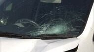 国道横断中の88歳女性 車にはねられ死亡 臼杵市