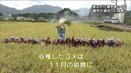 「チャーハンにして食べる!」幼稚園児が稲刈り体験 大分県大分市