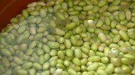 “緑のダイヤ”で味噌づくり 甘く・まろやか・風味が良い…【岡山・真庭市】