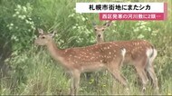 また市街地に