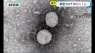 【新型コロナ】新たに1人の感染確認 長崎市では9日連続でゼロ【長崎市】