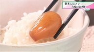 新米によく合う…宮崎のおすすめ漬物　きゅうりの“冷や汁漬”や黒蜜味のらっきょう、広島カープ公認の缶詰も