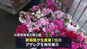 屋内施設が一時閉館の公園 アザレアをプレゼント