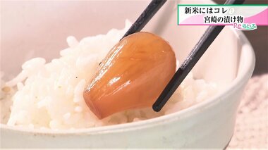 新米によく合う…宮崎のおすすめ漬物 きゅうりの“冷や汁漬”や黒蜜味のらっきょう、広島カープ公認の缶詰も