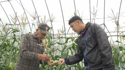 東日本大震災で父を失った24歳の息子が農業の後継者に　祖父と二人三脚で40種以上の作物を栽培