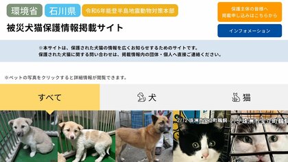 能登半島地震で保護された“迷い犬猫”の飼い主はどこに？環境省と石川県が情報共有サイトを公開中…実情を聞いた