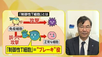 研究は「楽天的であること重要」免疫暴走に“ブレーキ”がん治療の道筋…ノーベル医学・生理学賞受賞決定の大阪大学・坂口志文特任教授