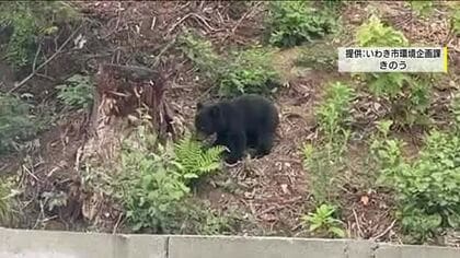 いわき市小川町でクマ目撃　周辺の小中学校が臨時休校　「元々熊のいない地域」戸惑うキャンプ場も休業　　