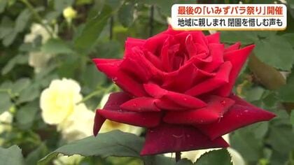 今年で閉園　「もったいない」「もっと早く知りたかった」　射水市・小島バラ園で『いみずバラ祭り』
