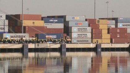 トランプ政権が「輸入木材」に10月14日から新関税　日本は「15％未満」