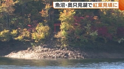日本紅葉の名所100選・奥只見湖の“紅葉”見頃に！遊覧船から楽しむ絶景に多くの観光客「360度どこを見てもきれい」新潟・魚沼市