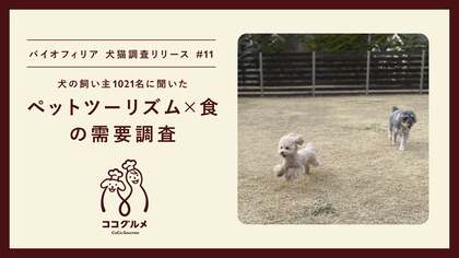 【ペットツーリズム需要調査 第二弾】愛犬との旅行で欲しいサービスでは“愛犬と一緒に”を重視する傾向。旅行の交通手段は飛行機が減。