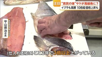 サケの塩焼き」がぜいたく品に？庶民の味に異変 歴史的不漁で1匹1万円