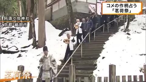 ミョウガの生育ぶりでコメの作柄占う「茗荷祭」京都・綾部市