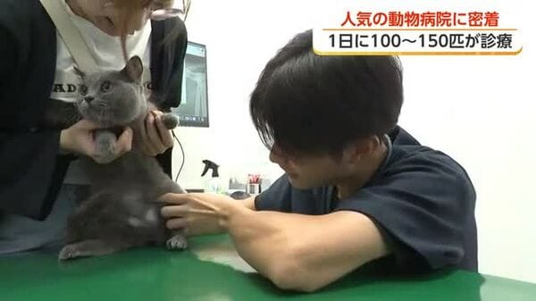 「一匹でも多くの動物の命を救いたい」高岡市で人気の動物病院 専門医と最先端医療機器を備え診療｜FNNプライムオンライン