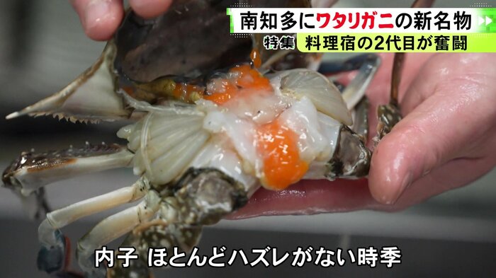 ニュースONE