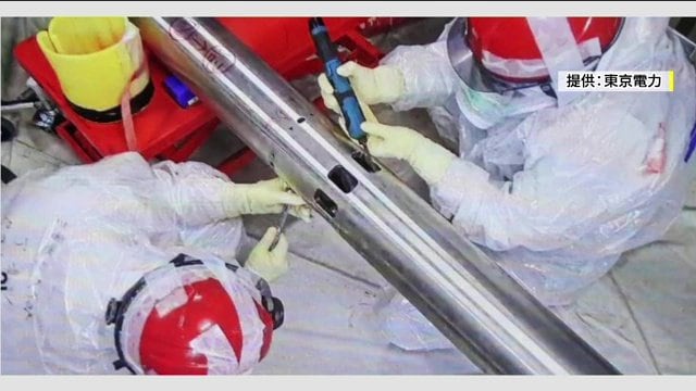 作業の様子(画像:東京電力)