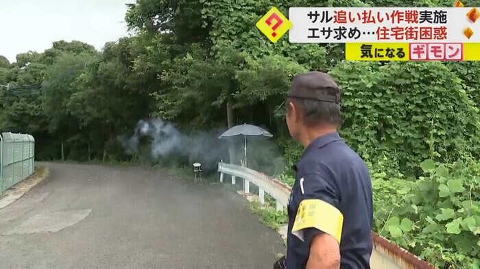 花火でサルを山に返す職員