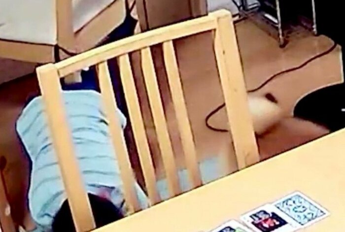 提供:柴犬勇者むぎさん