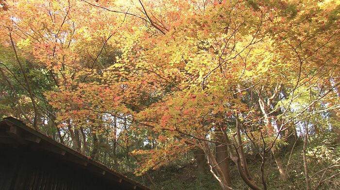 中野邸記念館
