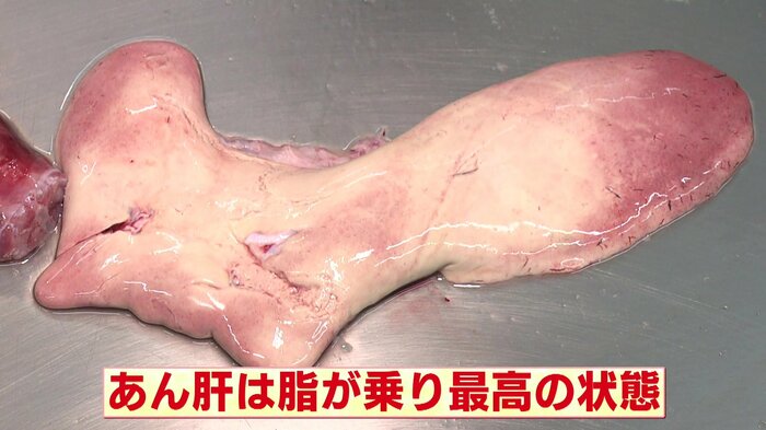 脂が乗った人気の「あん肝」