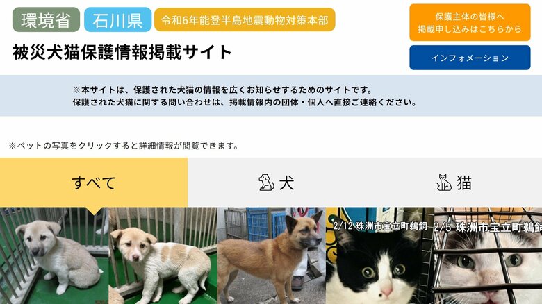 能登半島地震で保護された“迷い犬猫”の飼い主はどこに？環境省と石川県が情報共有サイトを公開中…実情を聞いた｜FNNプライムオンライン