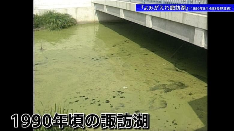 「このままでは諏訪湖は死んでしまう」から奇跡の復活！世界が注目する環境再生の成功例へ 35年の軌跡｜FNNプライムオンライン
